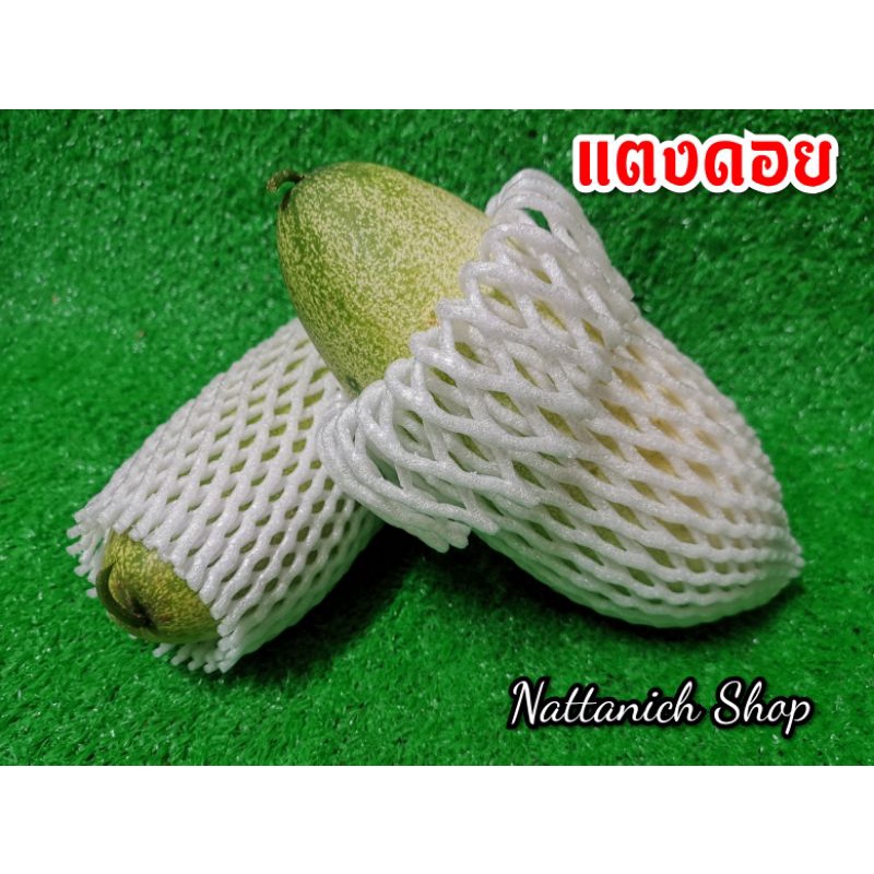 แตงไร่ หรือแตงดอย ( แตงยักษ์ )​ กก.ละ 69฿