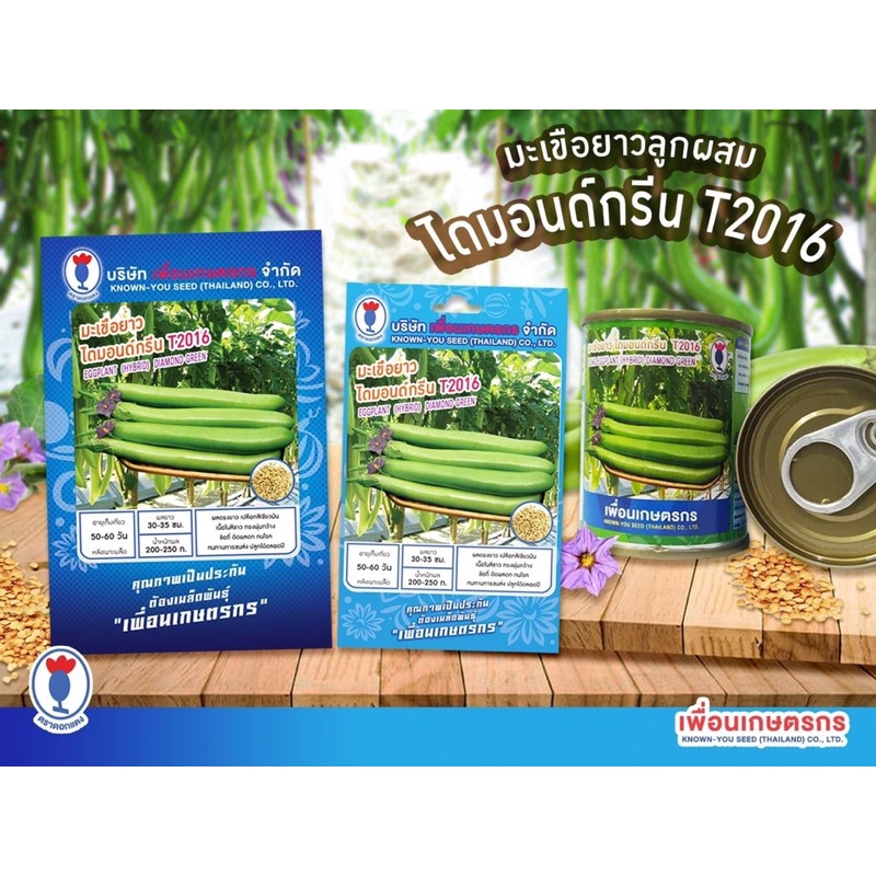 เมล็ดมะเขือยาว ลูกผสม แข็งแรง ทนโรค ติดผลดก ผลยาว 30-35 ซม. น้ำหนัก 200-250 กรัมต่อผล เนื้อแน่น รสชาติดี ปลูกได้ตลอดปี