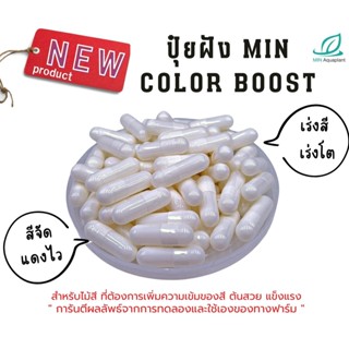 ปุ๋ยฝัง min color boost : ปุ๋ยฝังสำหรับไม้แดง ชมพู เร่งสี ให้มีสีเข้ม ปุ๋ยสำหรับต้นไม้น้ำ