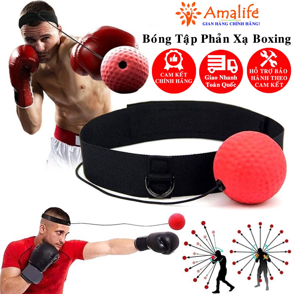 มวยลูกบอลฝึกสะท้อนแขวนลูกบอลคิกบ็อกซิ่ง Reflex Ball Head – ของแท้ Amalife Boxing Reflex Training Rop