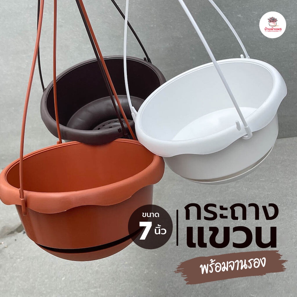 กระถางแขวนพลาสติก 7 นิ้ว พร้อมจานรอง แคคตัส กระบองเพชร ไม้อวบน้ำ Cactus&Succulent