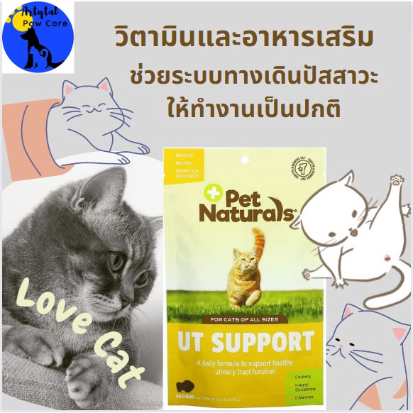 UT Support with Cranberry and D-Mannose​ for​ Cats, 10 Chews, ปัญหา​กระเพาะ​ปัสสาวะในแมว, UT​ suppor