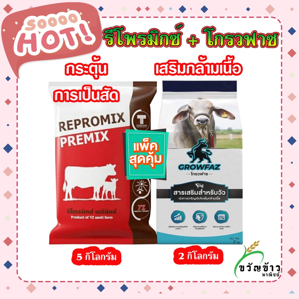 รีโพรมิกซ์ +โกรวฟาซ Growfaz Repromix  สารเสริมสำหรับวัว แพ็คคู่ ราคาประหยัด