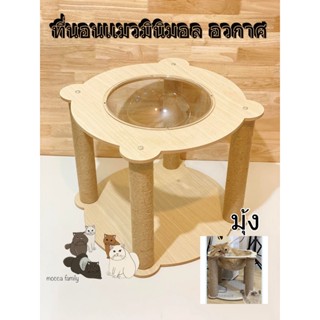 ( 1ฟรี 1 ) ที่นอนเเมว4เสา มินิมอล หลุมอวกาศ ที่นอนแมวอวกาศ