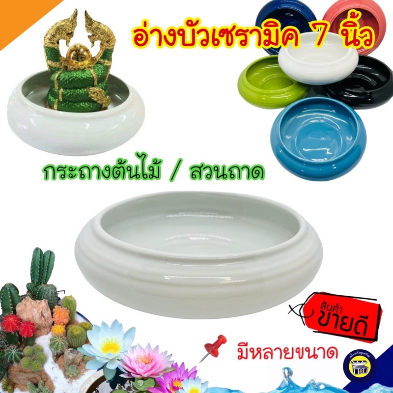 [7นิ้ว] กระถางต้นไม้ อ่างบัว อ่างเซรามิค อ่างบัวเซรามิค สีขาว เซรามิค อ่างใส่น้ำ อ่างบัวจิ๋ว สวนถาด บรรจุ1ใบ