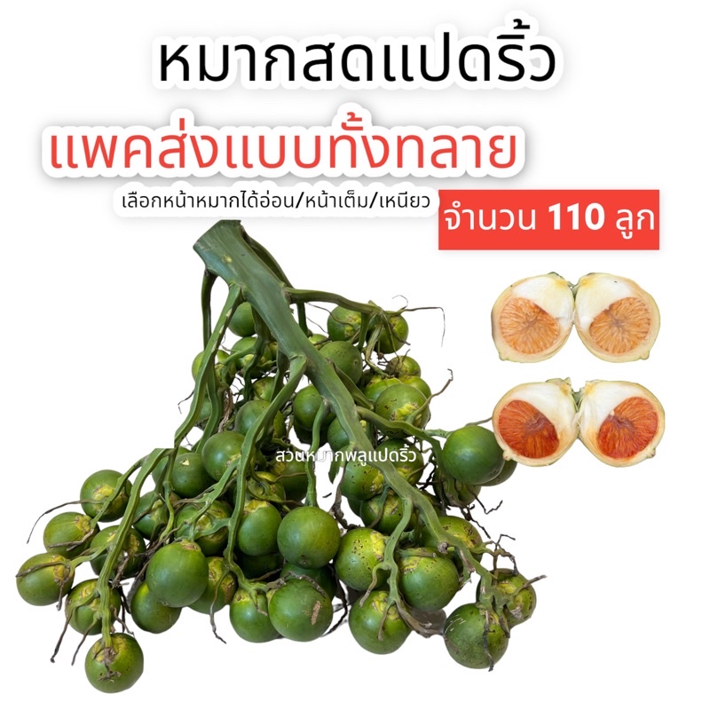 หมากทลาย หมากสด ยกทลาย 100ลูก แถม10ลูก / ยกทลาย 50แถม5 ส่งทั้งทลาย หมากไหว้ หมากงานบุญ