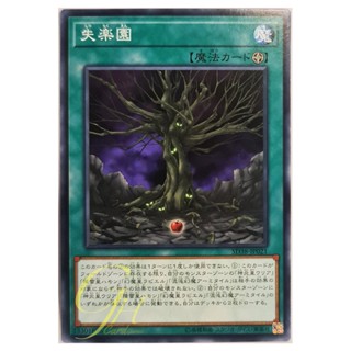 [SD38-JP021] Fallen Paradise (Common)