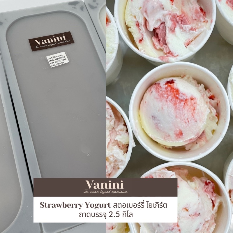 [Tray] Strawberry Yogurt Ice Cream สตอเบอร์รี่ โยเกิร์ต ไอศกรีม ถาด 2.5kg | Vanini Ice Cream