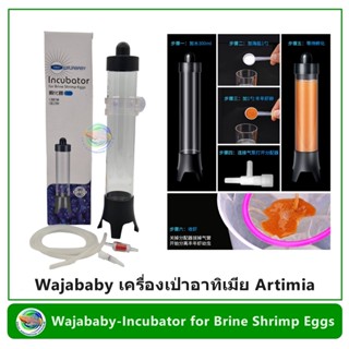 Wajababy เครื่องเป่าอาทิเมีย Artimia ฟัก อาร์ทิเมีย Incubator for Brine Shrimp Eggs