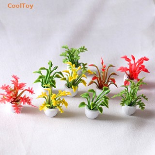 Cooltoy กระถางต้นไม้จิ๋ว DIY อุปกรณ์เสริม สําหรับตกแต่งบ้านตุ๊กตา