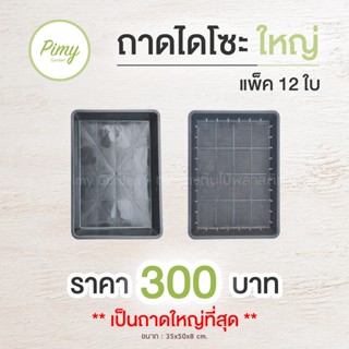 12 ใบ ถาดไดโซะ ถาดวางกระถางแคคตัส ถาดเพาะเมล็ด แบบตัน- แบบมีรู