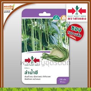 เมล็ดพันธุ์ถั่ว ถั่วฝักยาว ลำน้ำชี พันธุ์ถั่วเนื้อ (แบบซอง) เมล็ดถั่วศรแดง ถั่วลำน้ำชี เมล็ดพันธุ์ผักสวนครัว ตราศรแดง