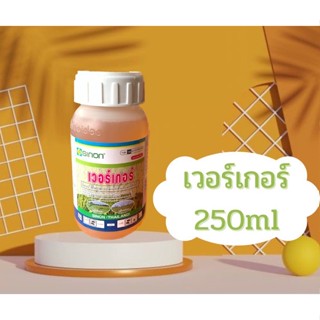 เวอร์เกอร์ (ฟีโนซาพรอป-พี-เอทิล)