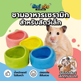 สัตว์เอ๋ย! ชามอาหารเซรามิก สำหรับสัตว์เล็ก ชามสัตว์เลี้ยง ชามอาหารหนู ชามหนู ชามอาหารนก ใช้ได้กับสัตว์เล็กหลายชนิด