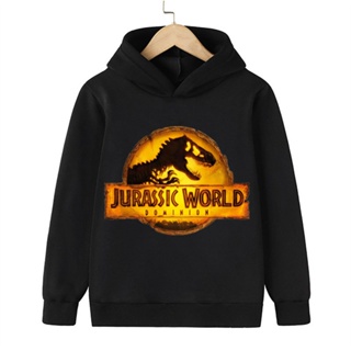 เสื้อกันหนาวลําลอง มีฮู้ด ลายการ์ตูน jurassic world dominion แฟชั่นฤดูใบไม้ผลิ และฤดูใบไม้ร่วง สําหรับเด็กผู้ชาย และเด็กผู้หญิง 2022