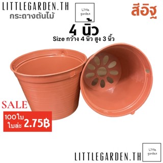 Little กระถางแคคตัสสีอิฐ 4 นิ้ว 100 ใบ 275 บาท