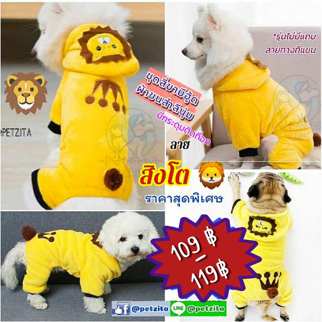 พร้อมส่ง สิงโต~ ชุดสี่ขามีฮู้ดผ้าขนสำลีนุ่มนิ่ม มีกระดุมติดที่อกจ้า For PET น่ารักมากมายสุดๆ