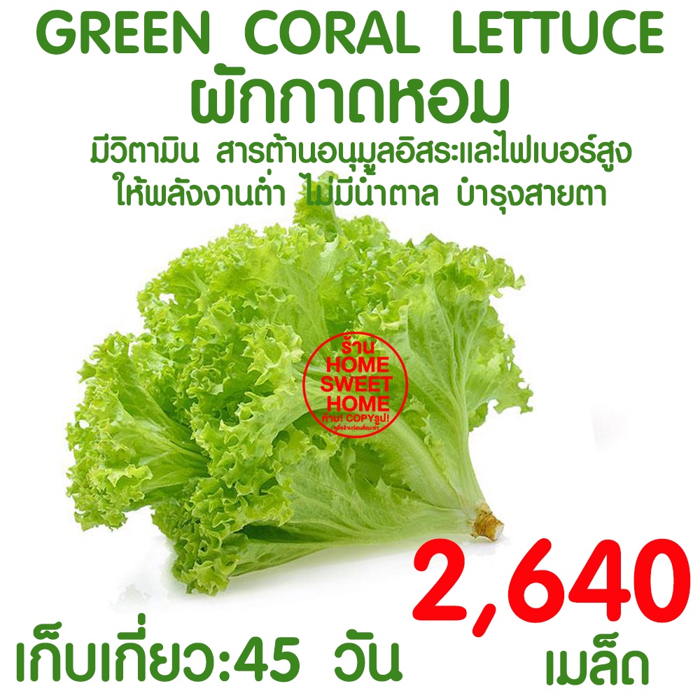 รูปภาพ 4