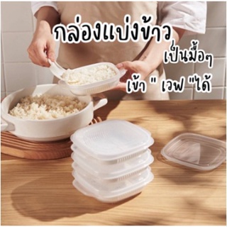 กล่องถนอมข้าว 🍚 กล่องถนอมอาหาร (ราคา/กล่อง) กล่องแบ่งข้าวสไตล์ญี่ปุ่น ช่วยให้ข้าวอร่อย เหมือนหุงใหม่ทุกมื้อ