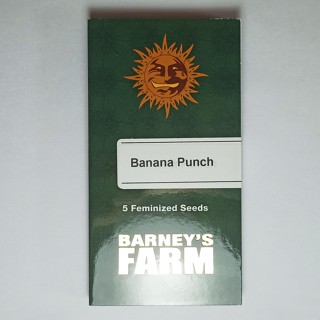 Barneys farm Banana Punch 5 cannabis seeds