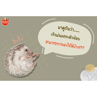 สินค้า Marukan ที่ 🦔 เม่นแคระ 🦔 ทานได้มีอะไรบ้าง