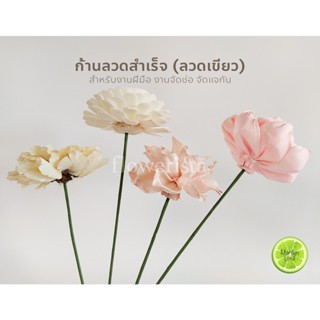 ก้านลวดสำหรับงานดอกไม้แห้ง งานฝีมือ ก้านลวดสำเร็จ ความยาว 8", 10", 12" จำหน่ายปลีก20ก้าน/ส่ง 100 ก้าน