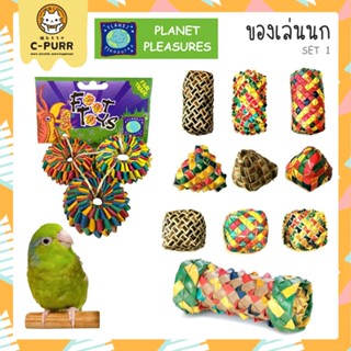 (SET No.1) Planet Pleasures ของเล่นนก จากใบตาลสานและวัสดุจากธรรมชาติ นำเข้าจาก USA