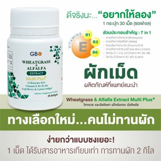 🌿ของแท้ Wheatgrass Multi Plus+  ผักเม็ดเสริมภูมิ