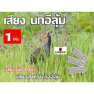 เสียง นกอีลุ้ม นาน 1 ชั่วโมง USB แฟลชไดร์ฟ ไม่มีโฆษณา หมานๆๆ