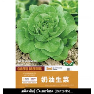 เมล็ดพันธุ์ บัตเตอร์เฮด (Butterhead Seed) บรรจุ 4000 เมล็ด