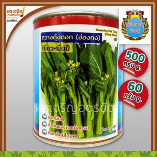 เมล็ดพันธุ์ ผักกาดกวางตุ้ง กวางตุ้งดอกฮ่องกง เขียวหมื่นปี (60, 500 กรัม) เมล็ดกวางตุ้ง เมล็ดพันธุ์ผักสวนครัว ตรากำไลทอง