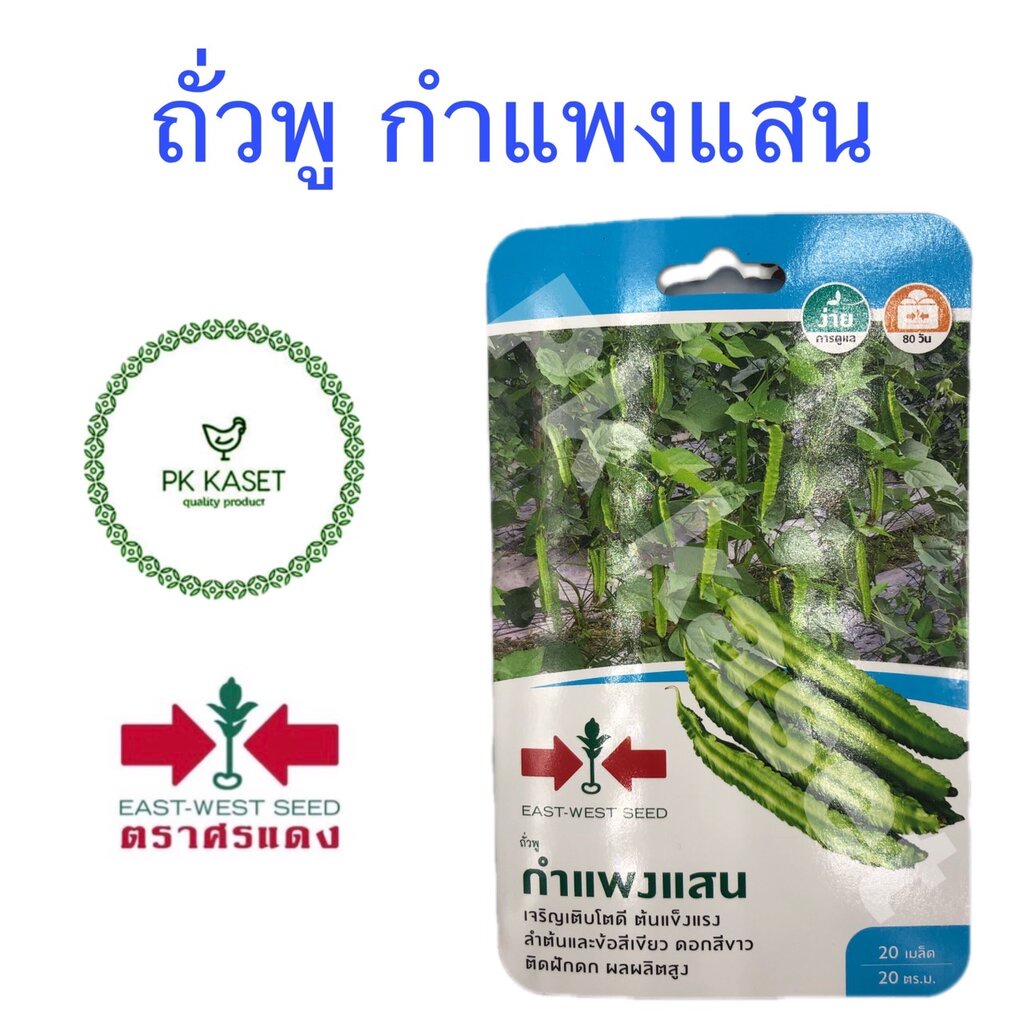 เมล็ดถั่วพู กำแพงแสน ศรแดง ซองแข็ง 20 เมล็ด ผักสวนครัว