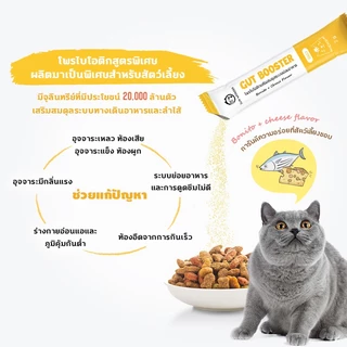 (1 กล่อง/12 ซอง) SUN WONDER GUT BOOSTER อาหารเสริมโพรไบโอติกเสริมสมดุลระบบย่อยอาหาร สูตรสำหรับแมว