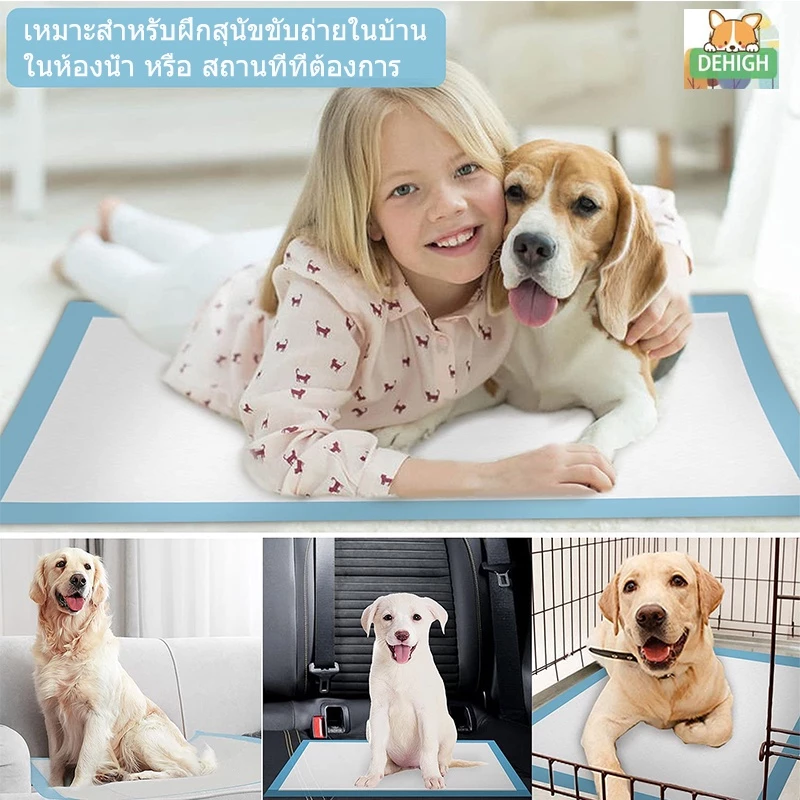 DEHIGH แผ่นรองฉี่สุนัข ช่วยฝึกขับถ่าย ซึมซับดี thumbnail 10