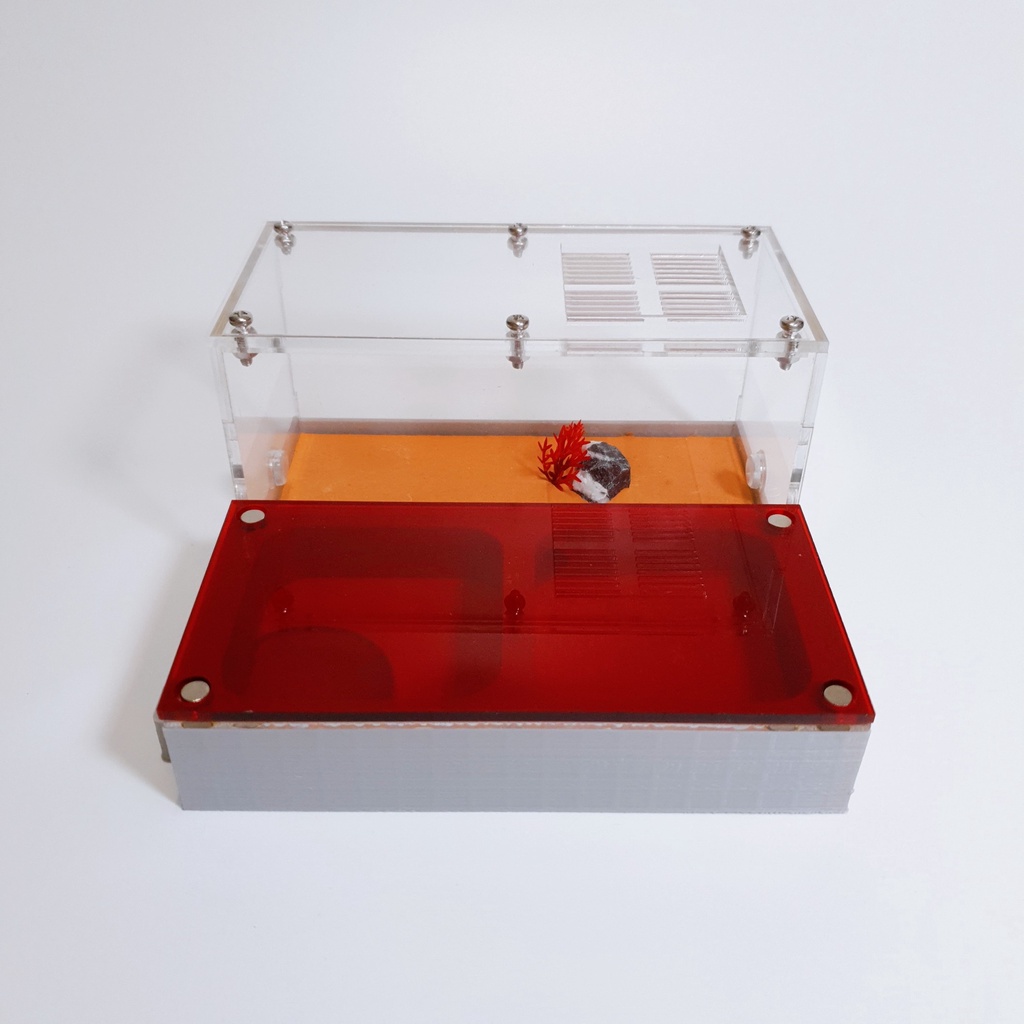 2 Square Room Formicarium - Ant Keeping Ant Farm Ant Nest Ant Formicarium Ant Cages Ant Feeding The 