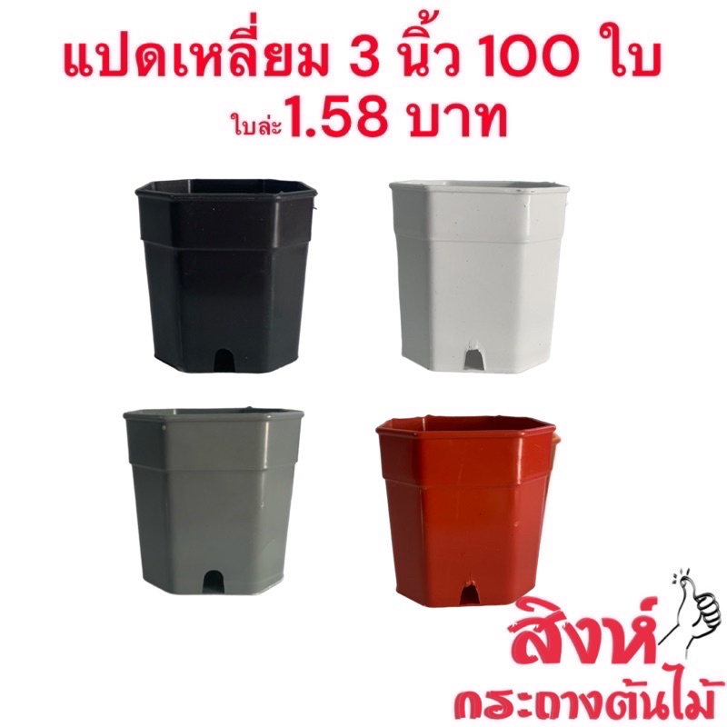 กระถางแคคตัส กระถางแปดเหลี่ยม 3 นิ้ว 100 ใบ