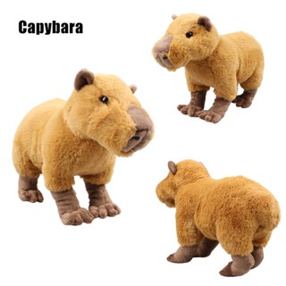 ตุ๊กตานุ่ม รูปการ์ตูนสัตว์ Capybara ขนาด 9.8 นิ้ว เหมาะกับของขวัญวันเกิด