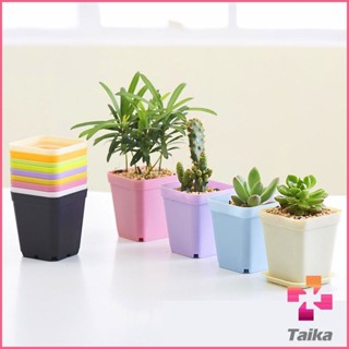 Taika กระถางต้นไม้พลาสติก พร้อมถาดรอง กระถางขนาดเล็ก  Plastic flowerpot