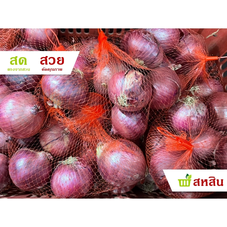 หอมแขกใหญ่ 🧅 500 กรัม และ 1 กิโลกรัม แห้ง สด คัดคุณภาพให้ แข็งทุกลูก Onion