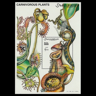 ชีทแสตมป์โซมาเลีย ชุด CARNIVOROUS PLANTS ตระกูลพืชกินแมลง ปี 2000 - SOMALIA