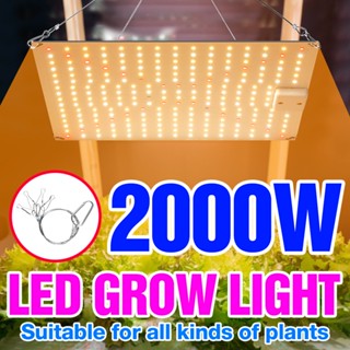 โคมไฟ LED 2000W 220V 110V 3000W สําหรับปลูกพืชเรือนกระจก