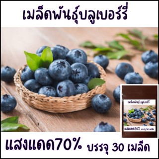 30 เมล็ด เมล็ดพันธุ์บลูเบอรี่ blueberry