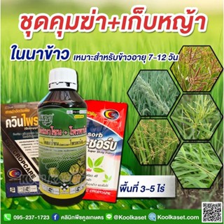 กำจัดหญ้า ในนาข้าว 3-5 ไร่ กำจัดหญ้า จบในชุดเดียว นาข้าวอายุ 7-12 วัน คูลเกษตร KP41