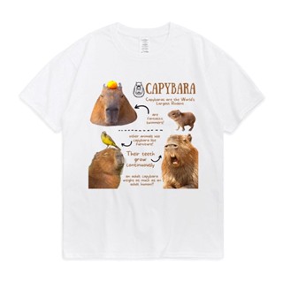 เสื้อผ้าผชเสื้อยืดแขนสั้น พิมพ์ลายการ์ตูน Capybara Fun Facts เข้ากับทุกการแต่งกาย แฟชั่นฤดูร้อน สไตล์สตรีท สําหรับผู้ชาย