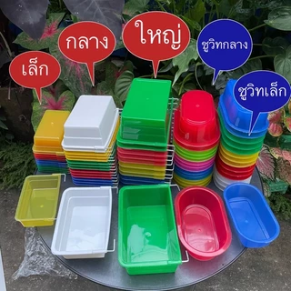 อ่างอาบน้ำนกกรงหัวจุก อ่างอาบนกสี่เหลี่ยมมีลวด อ่างอาบสี่เหลี่ยมลวด อ่างอาบนก อ่างอาบนกกรง อ่างอาบนก อ่างอาบ