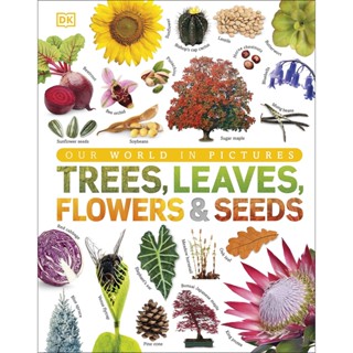 Our World in Pictures: Trees, Leaves, Flowers &amp; Seeds By (author)  DK Hardback English