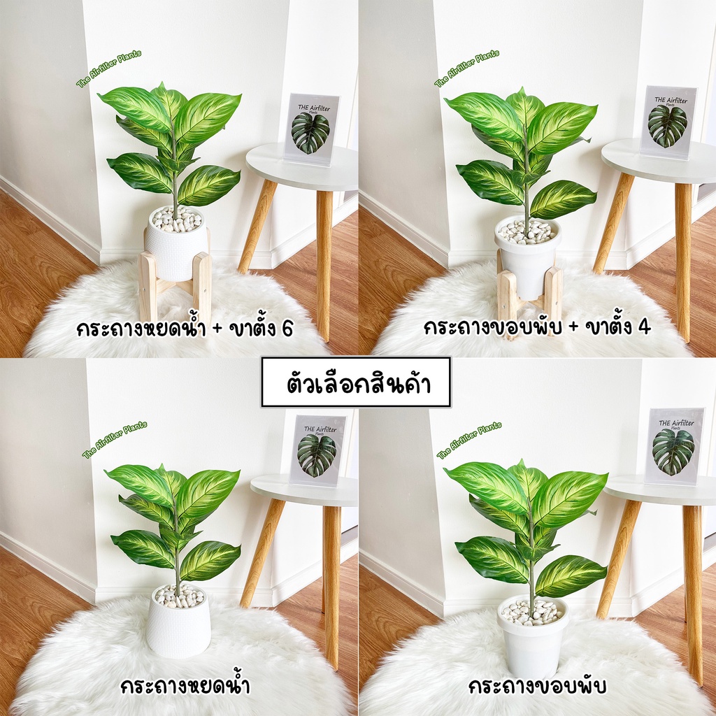 ต้นไม้ปลอม(ฟรี!!หินโรย) ต้นมงคลเศรษฐีสูง35-45ซม. ตั้งหน้าทีวี ตั้งโต๊ะและหัวเตียง ต้นไม้มงคล พร้อมกระถางและหินสีขาว - รูปที่ 2