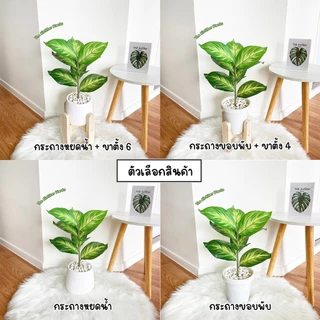 ต้นไม้ปลอม(ฟรี!!หินโรย) ต้นมงคลเศรษฐีสูง35-45ซม. ตั้งหน้าทีวี ตั้งโต๊ะและหัวเตียง ต้นไม้มงคล พร้อมกระถางและหินสีขาว