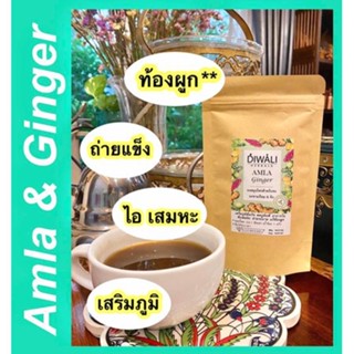 7-10ถุง เครื่องดื่มสมุนไพรผงมะขามป้อม &amp; ขิง 100 g