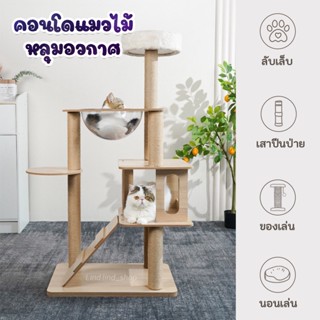 [ใหม่ล่าสุด] คอนโดแมว ที่ลับเล็บแมว ของเล่นแมว คอนโดแมวไม้ ที่นอนแมว แข็งแรง สูง 111-169 CM พร้อมส่ง